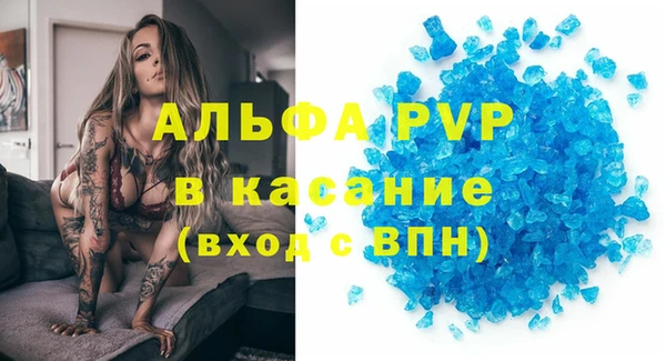 стафф Карпинск