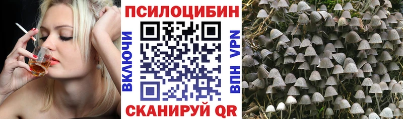 kraken как войти даркнет сайт Котлас Псилоцибиновые грибы GOLDEN TEACHER